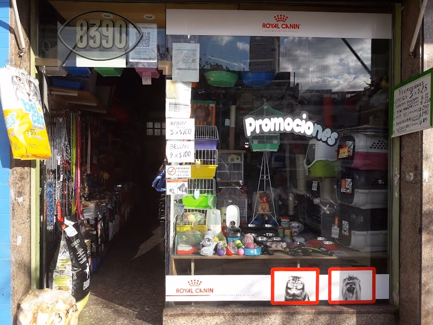 Pet Shop Pelusa