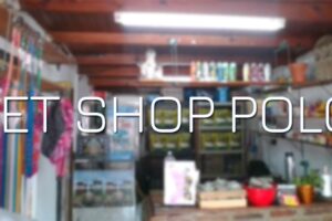 Pet Shop Polo