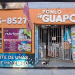 Pet shop Ponlo guapo