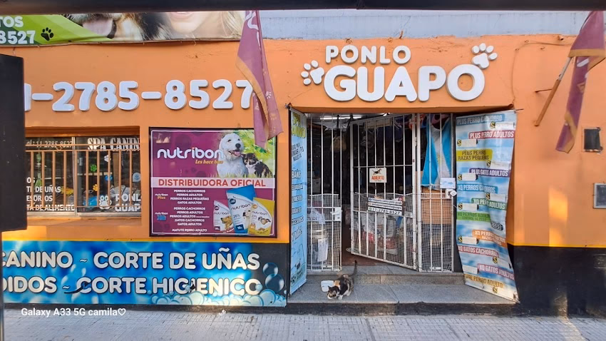 Pet shop Ponlo guapo