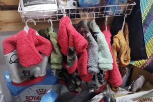 Pet Shop Pulgas Locas