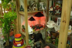 Pet Shop Quintana