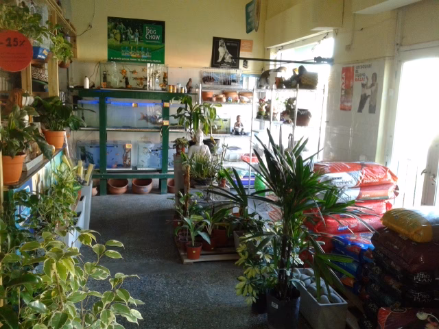 Pet Shop Quintana