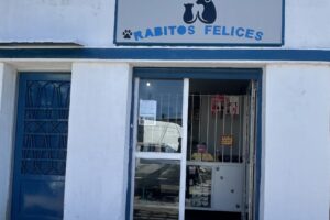 Pet Shop Rabitos Felices