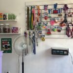 Pet shop Roma