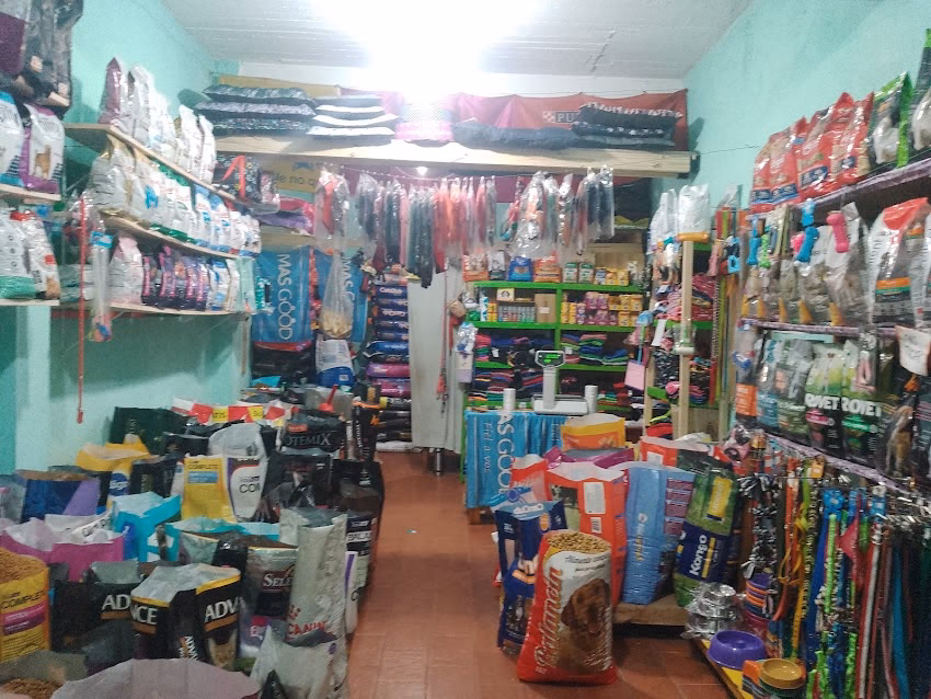Pet Shop Silvi