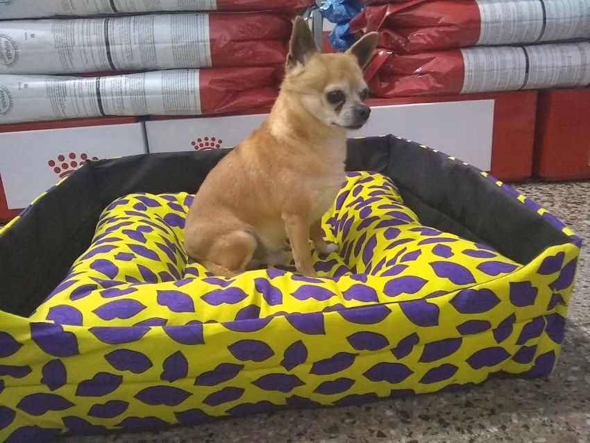 Pet Shop Simón