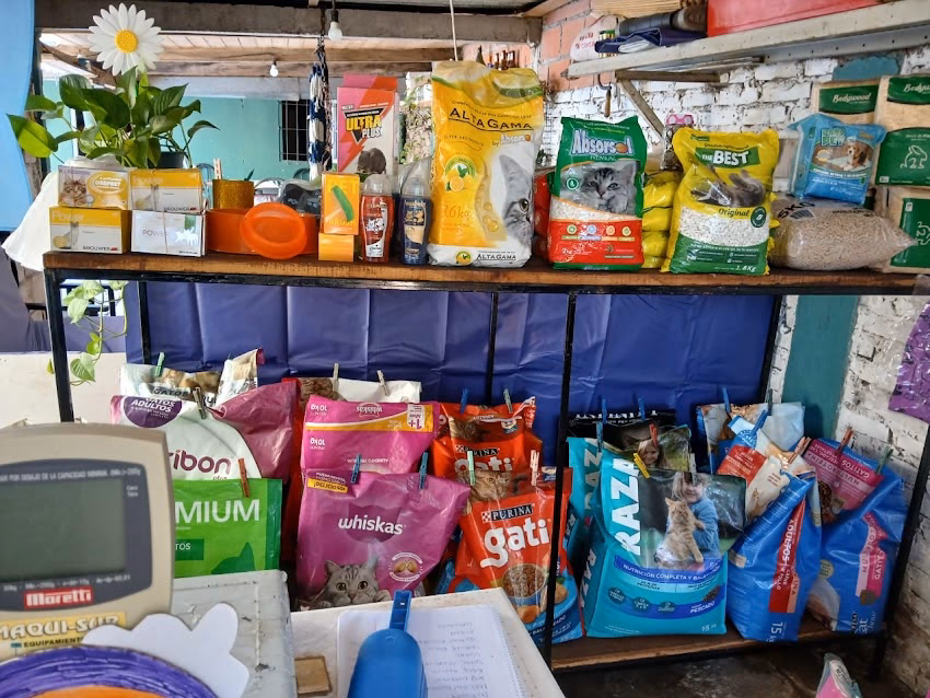 Pet shop sorpresa