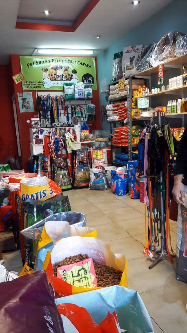 Pet Shop Tasha