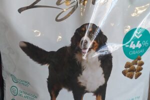 Pet shop tiaraselene