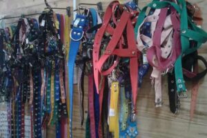 Pet Shop Virgen del Rosario Ii