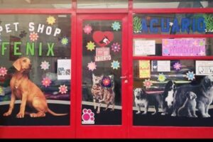 Pet Shop y Acuario Dany Fénix