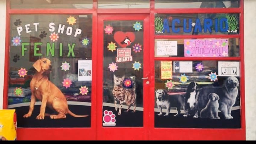Pet Shop y Acuario Dany Fénix