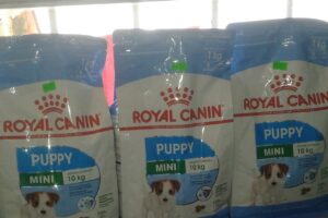 Pet shop y articulos de linpieza virgen de guadalupe