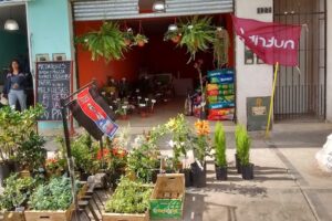 Pet Shop Y Vivero Cecilia