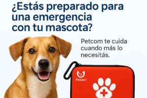 Petcom Argentina