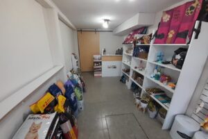 Petit Chiot Mascotas