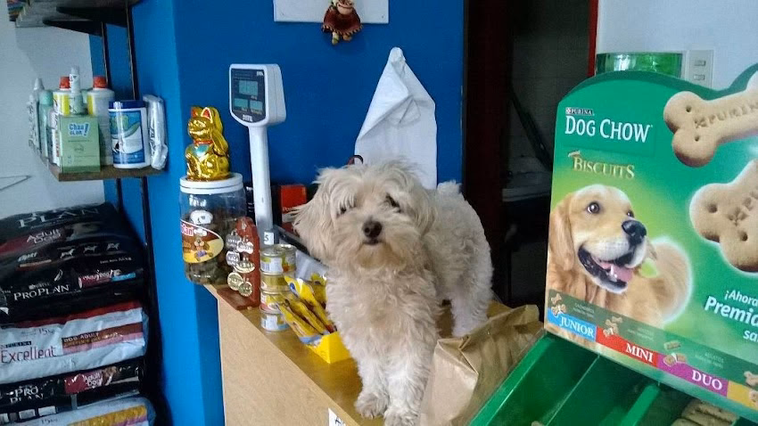 Petizos Tienda de Mascotas