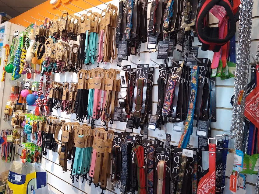 PetMarket Constitución