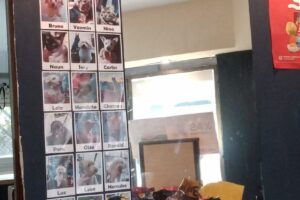 Petopia Pet Shop Alimentos Balanceados y Peluquería Canina