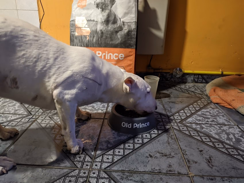 Pets Food Bariloche