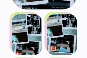 PetShop el Rubí de Oscar