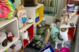 Petshop Entre Pulgas