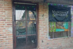 Petshop Hocicos Felices