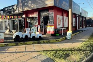 Petshop la cordillera