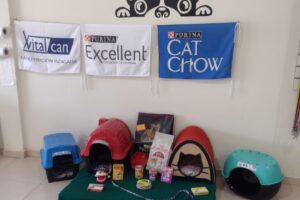 Petshop La loca de los gatos