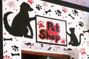 Petshop Mq