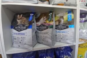 Petshop Snoopy Mar del Plata Tienda De Mascotas