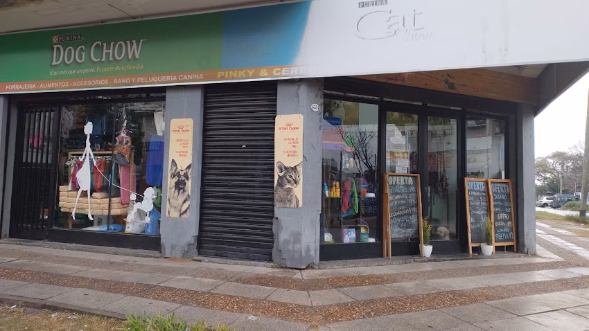 Pincky Y Cerebro Pet Shop