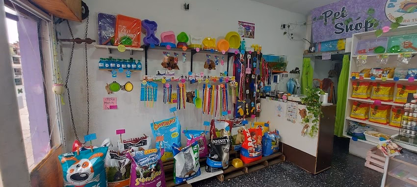 Pipistrelas Pet Shop