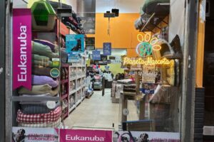 Planeta Mascota Flores