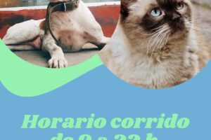 Plaza Alvarado productos para mascotas