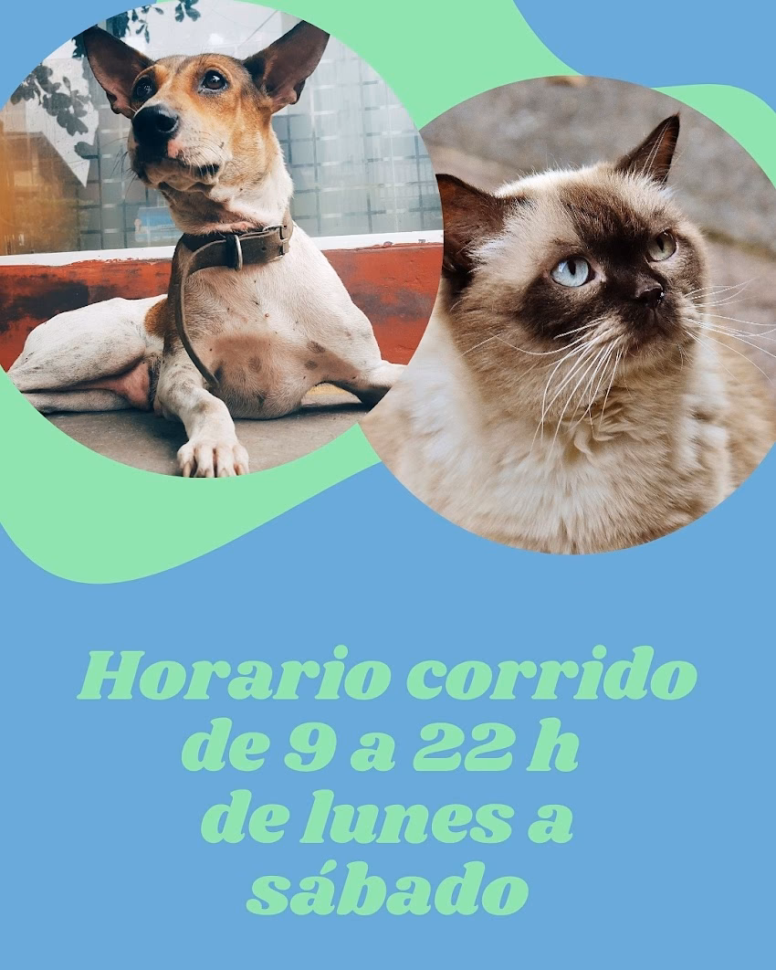 Plaza Alvarado productos para mascotas
