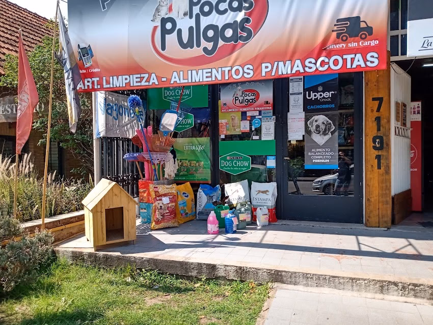 Pocas pulgas recta