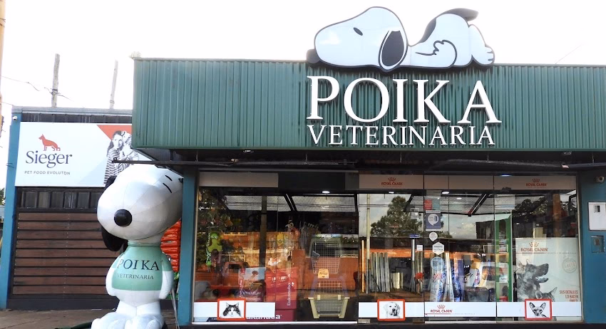 Poika Veterinaria
