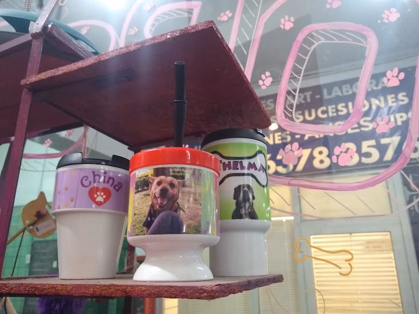 Popotitos pet shop