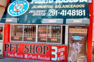 Puerto Mascota