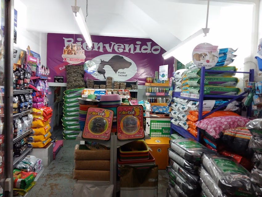 Punto Animal
