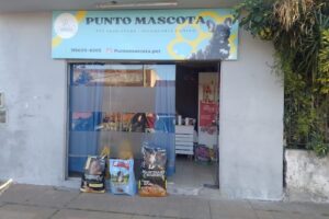 Punto mascota