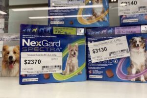 Puppis Veterinaria Peluqueria y Pet Shop