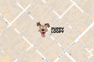 Puppy Loopy Mascotas