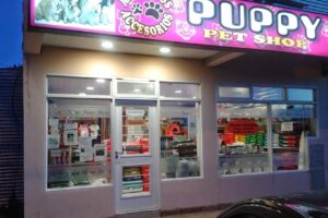 Puppy pet shop
