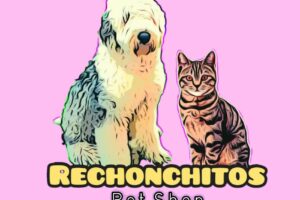 Rechonchitos