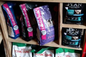 Retriever Tienda De Mascotas