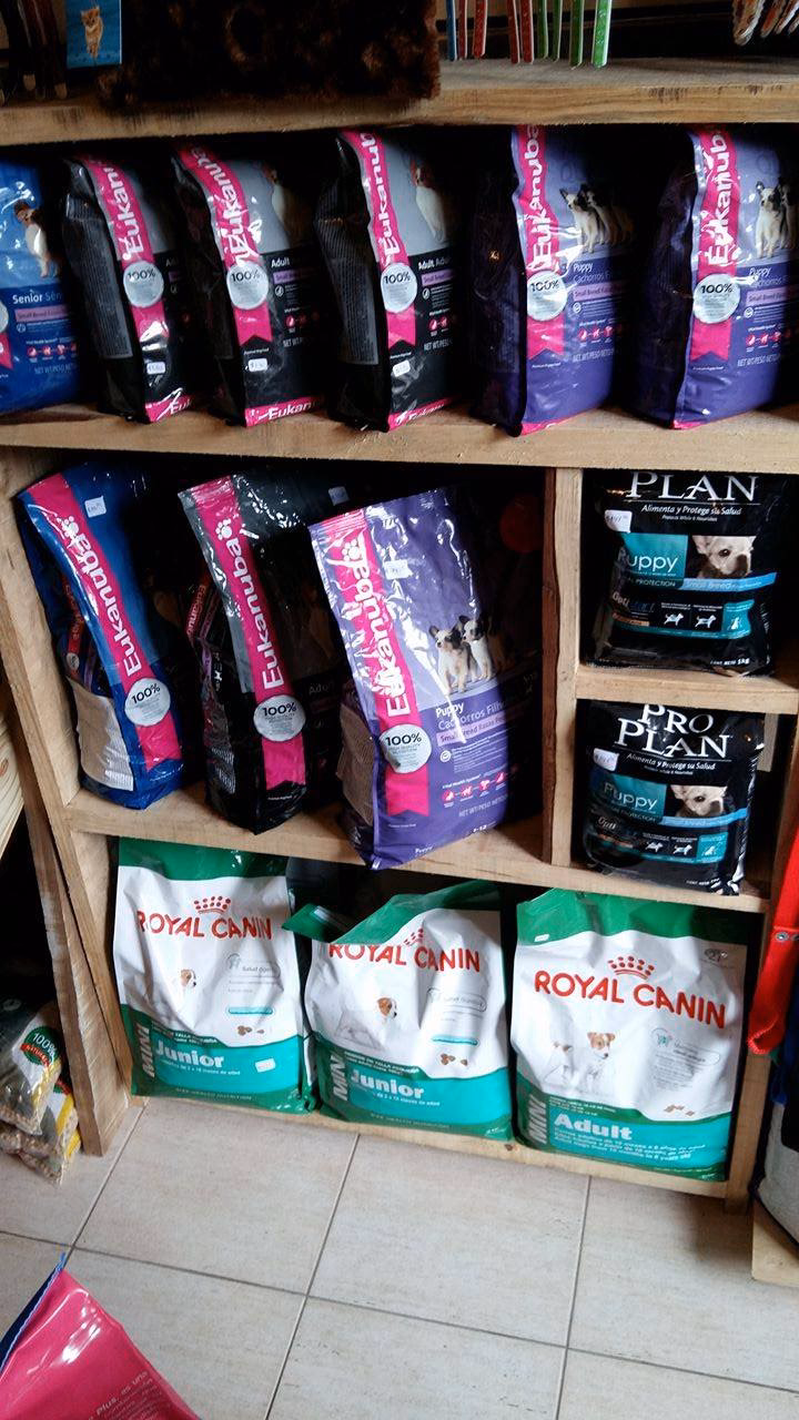 Retriever Tienda De Mascotas