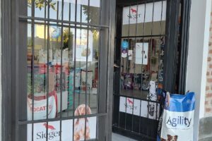 Rey y Reinas Pet Shop